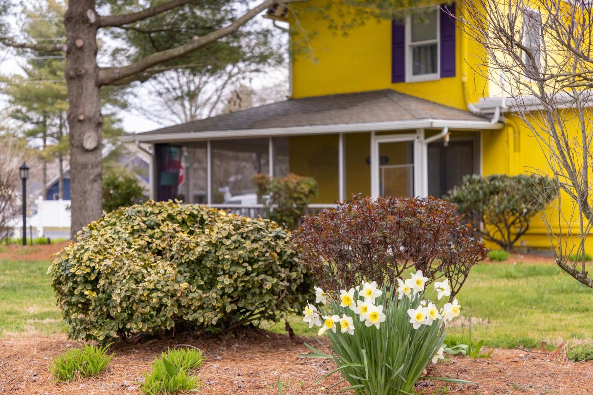 The Homestead B&B Rehoboth Beach Exterior foto